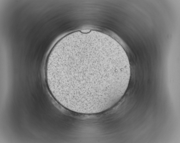 X0000111131148200908111034