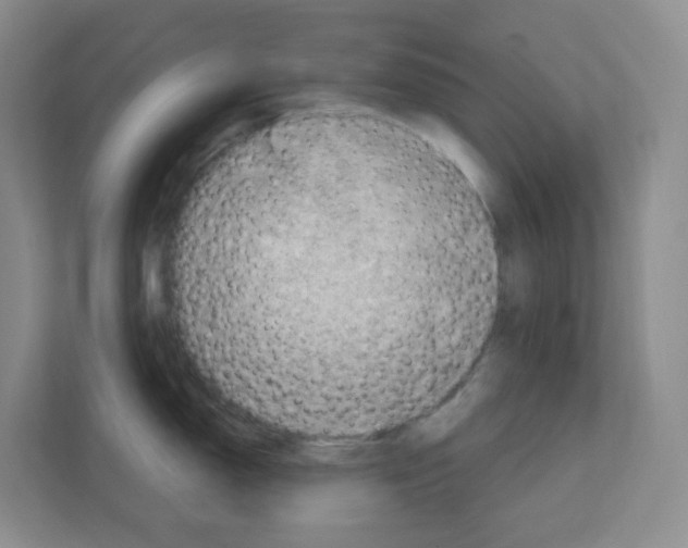 X0000111131150200908111034