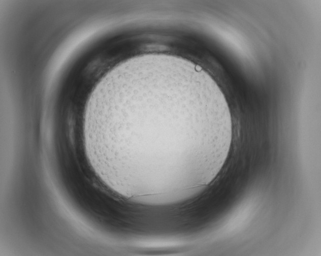 X0000111131151200908111034