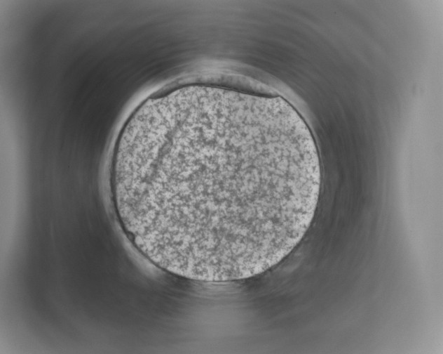 X0000111131152200908111034