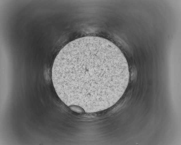 X0000111131156200908111033