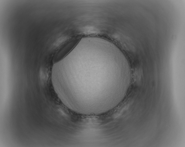X0000111131157200908111033