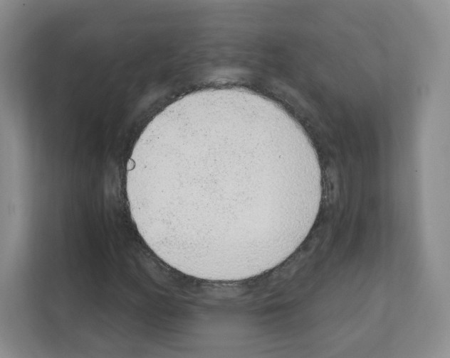 X0000111131158200908111033