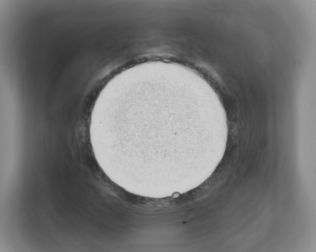 X0000111131159200908111033