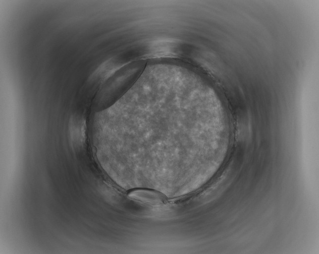 X0000111131161200908111033