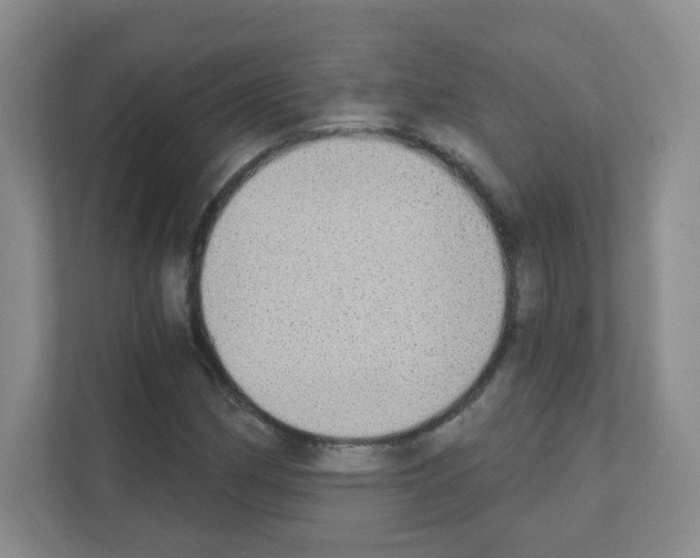 X0000111131162200908111033
