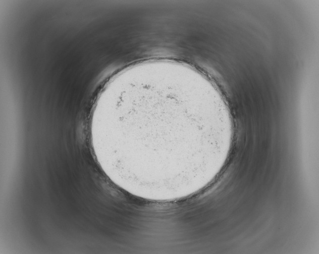 X0000111131163200908111033