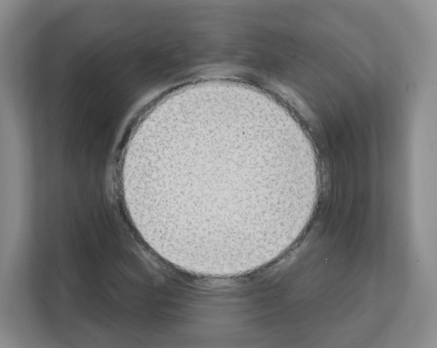 X0000111131164200908111033