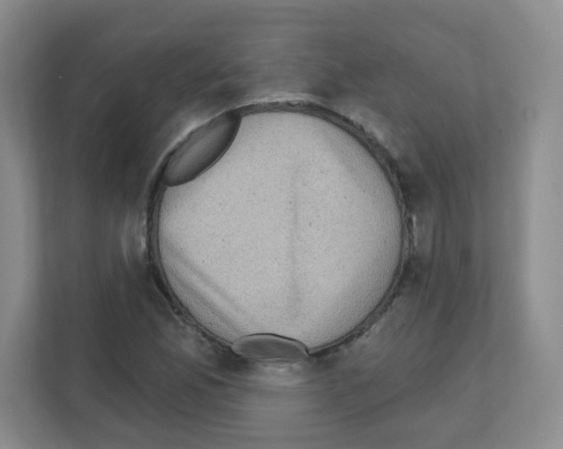 X0000111131165200908111033