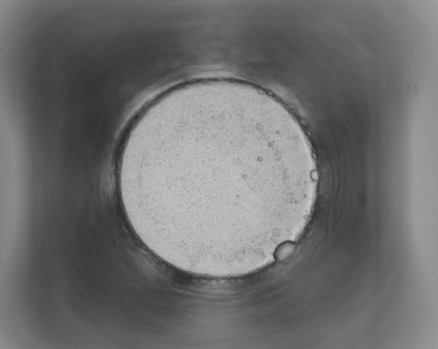 X0000111131167200908111033