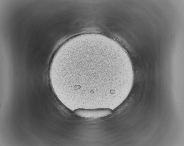 X0000111131168200908111033
