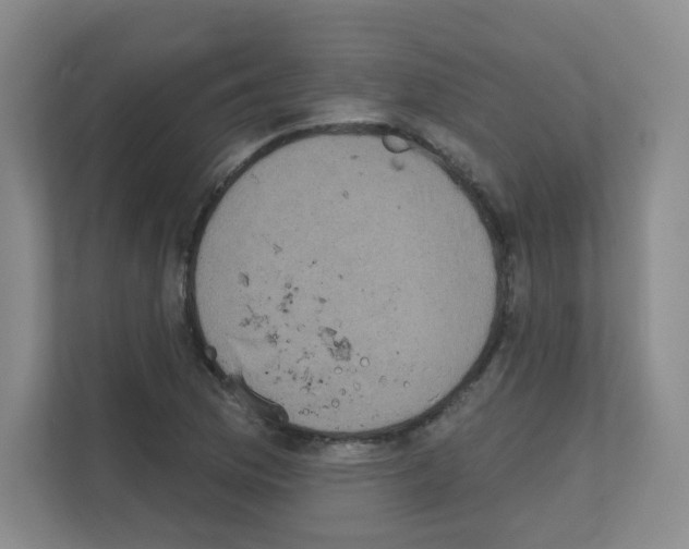 X0000111131169200908111033