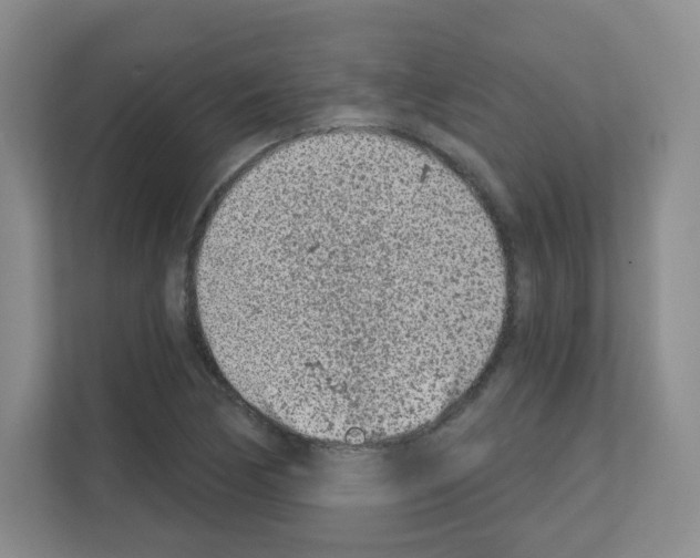 X0000111131170200908111033