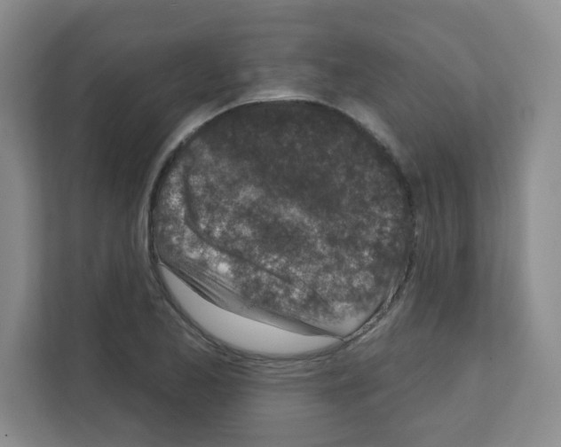 X0000111131173200908111033