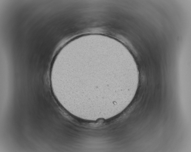 X0000111131176200908111033