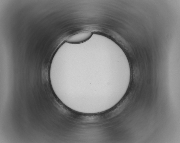 X0000111131177200908111033