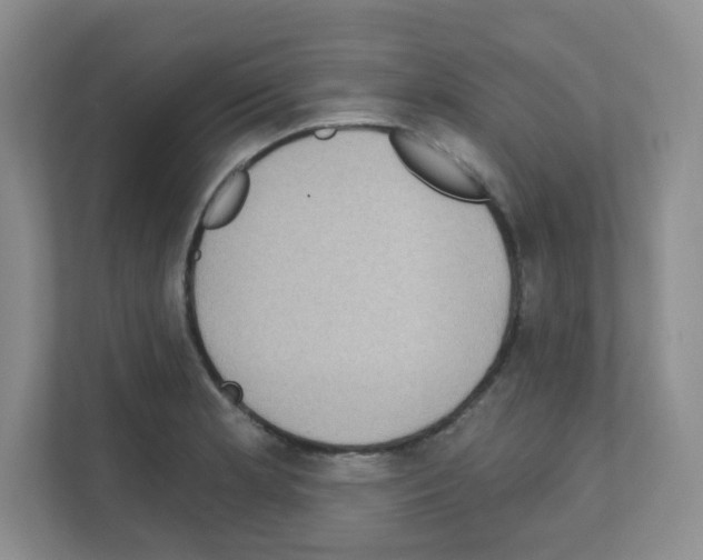 X0000111131181200908111033