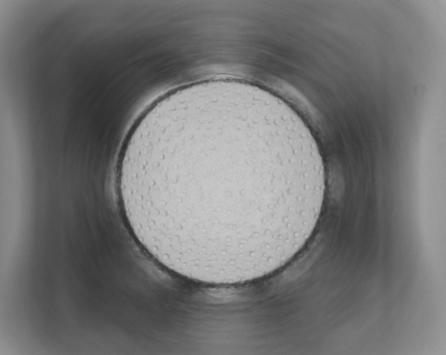 X0000111131182200908111033