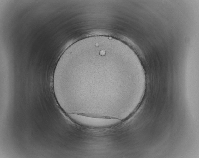 X0000111131185200908111033