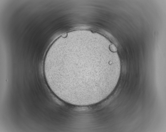 X0000111131186200908111033