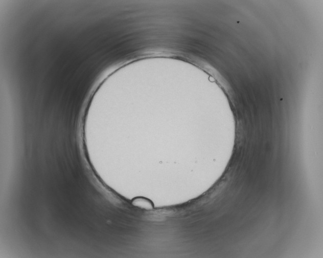 X0000111131187200908111033