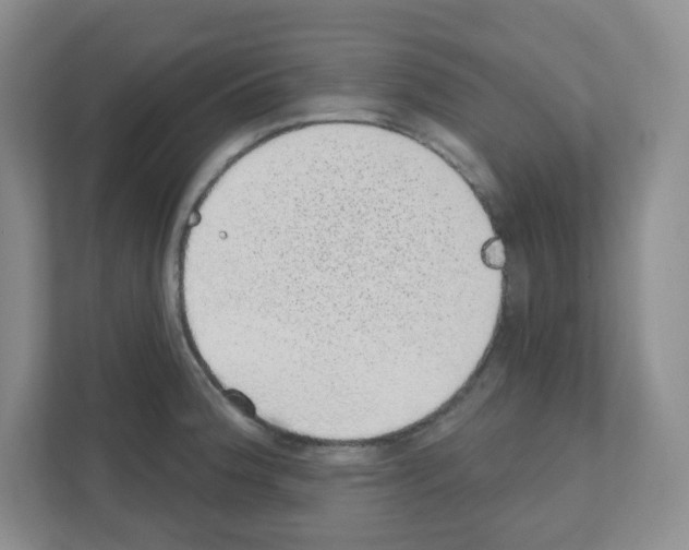 X0000111131188200908111033