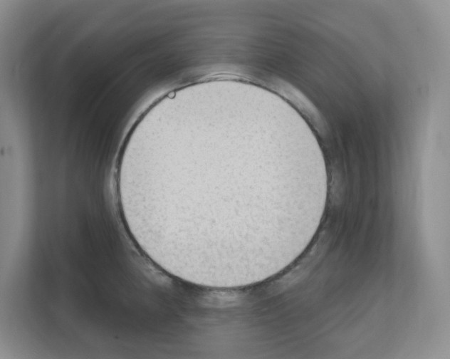 X0000111131190200908111033
