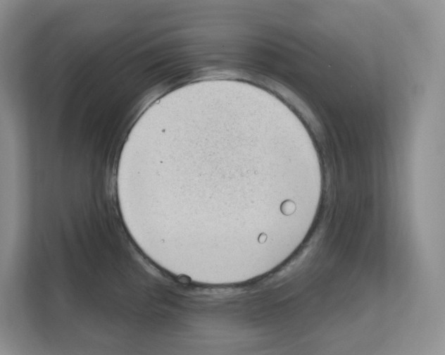 X0000111131193200908111033