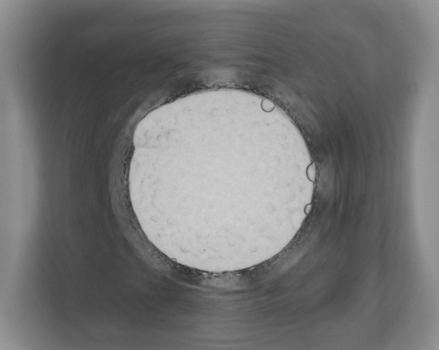X0000111131201200908111032