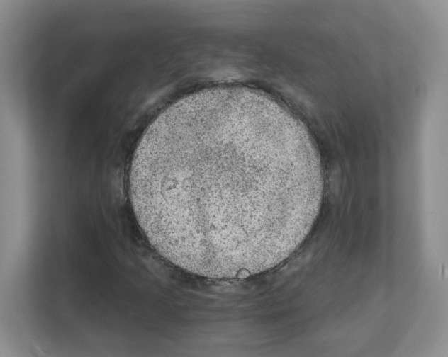 X0000111131205200908111032