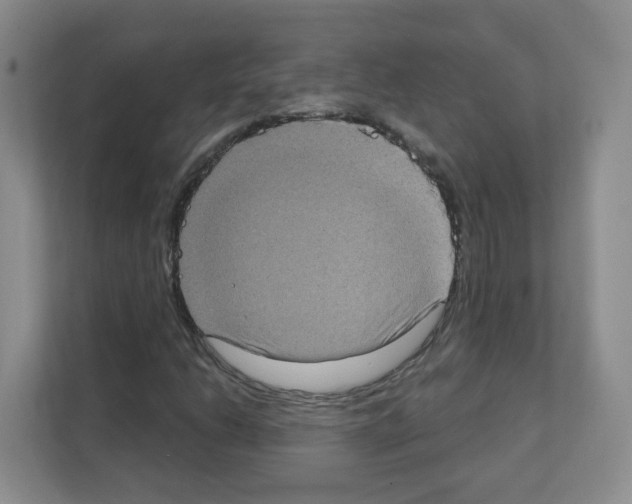 X0000111131206200908111032