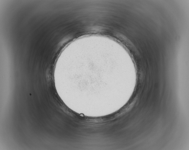 X0000111131210200908111032