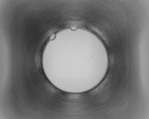 X0000111131211200908111032