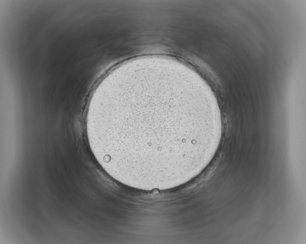 X0000111131212200908111032