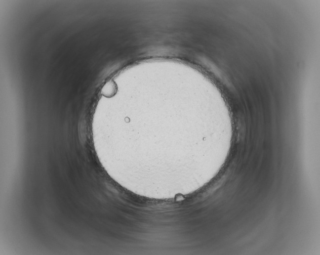 X0000111131213200908111032