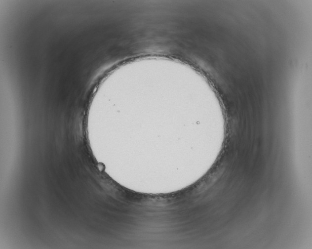 X0000111131214200908111032