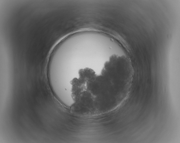 X0000111131216200908111032