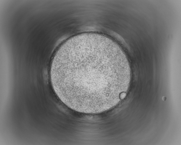 X0000111131218200908111032