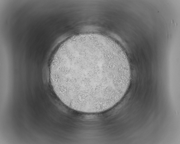 X0000111131219200908111032