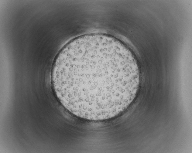 X0000111131220200908111032