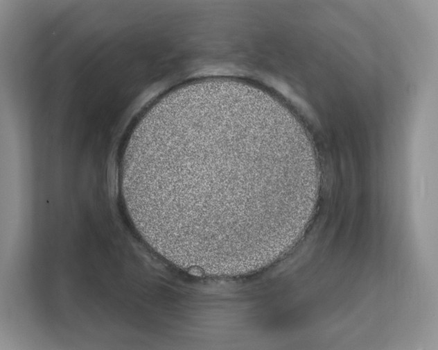 X0000111131221200908111032