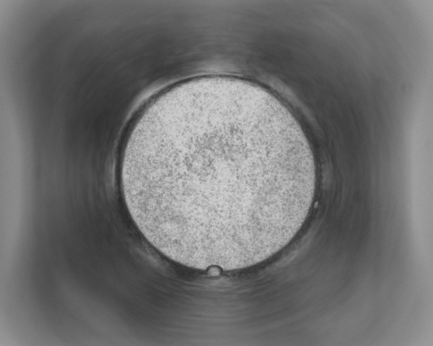 X0000111131222200908111032