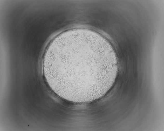 X0000111131223200908111032