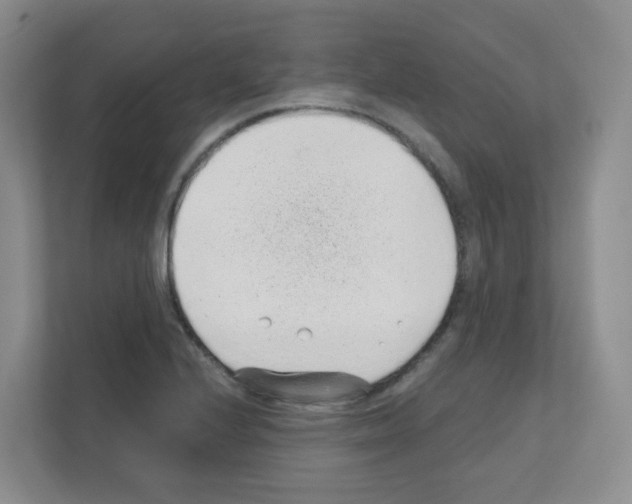 X0000111131224200908111032