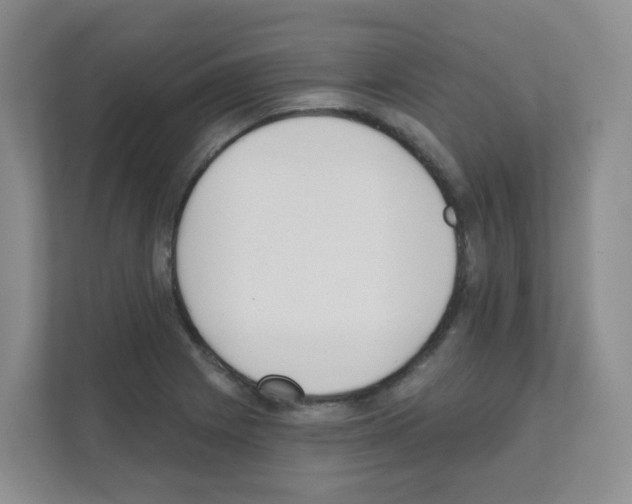 X0000111131225200908111032