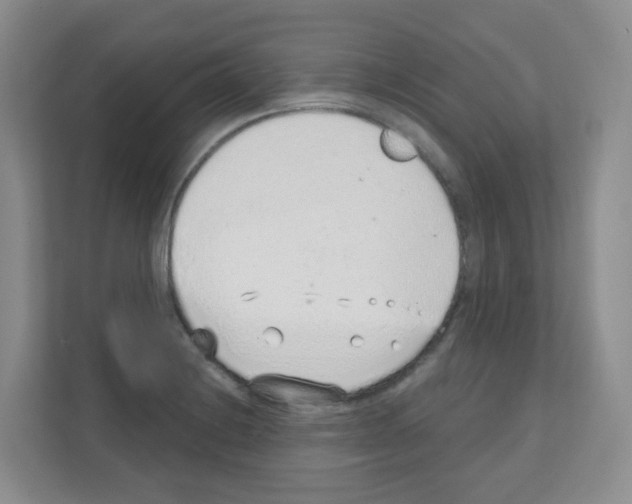 X0000111131228200908111032