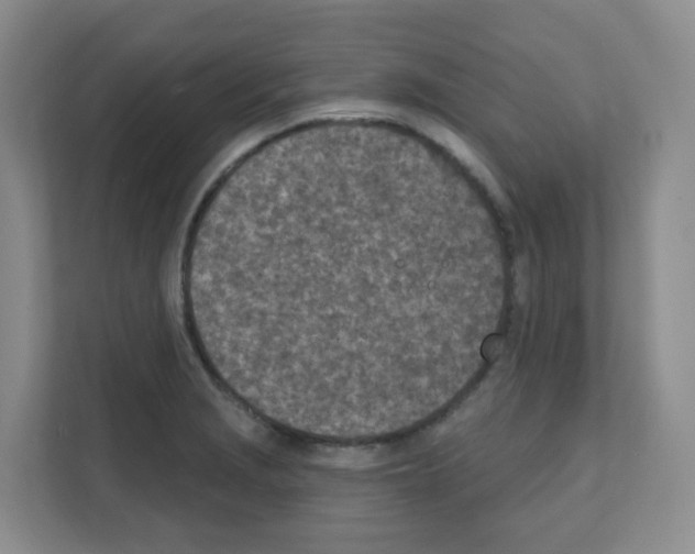 X0000111131229200908111032