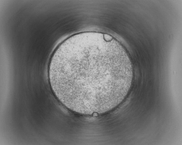 X0000111131230200908111032