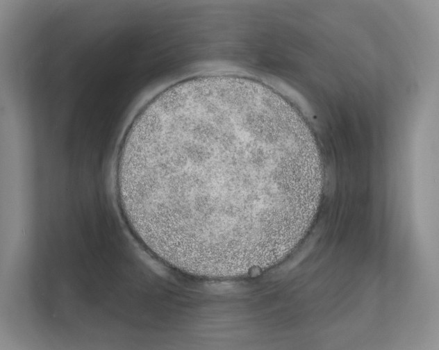 X0000111131231200908111032