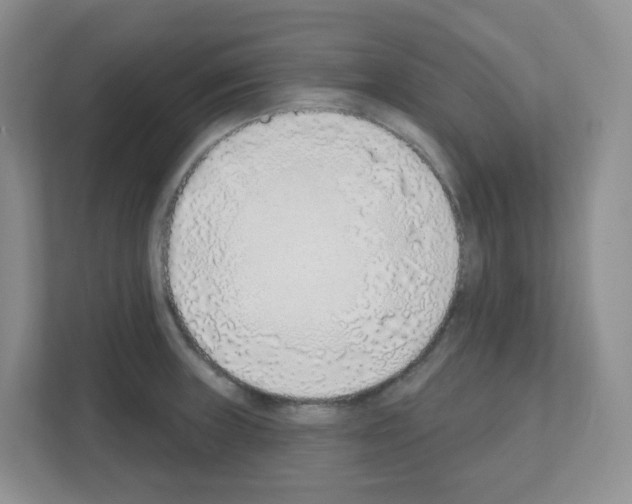 X0000111131235200908111032